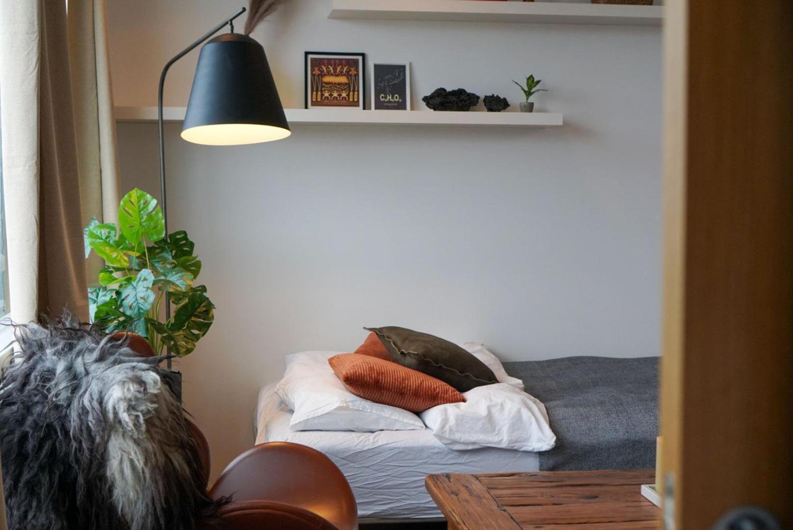 Apartament Laugavegur Penthouse Reykjavík Zewnętrze zdjęcie